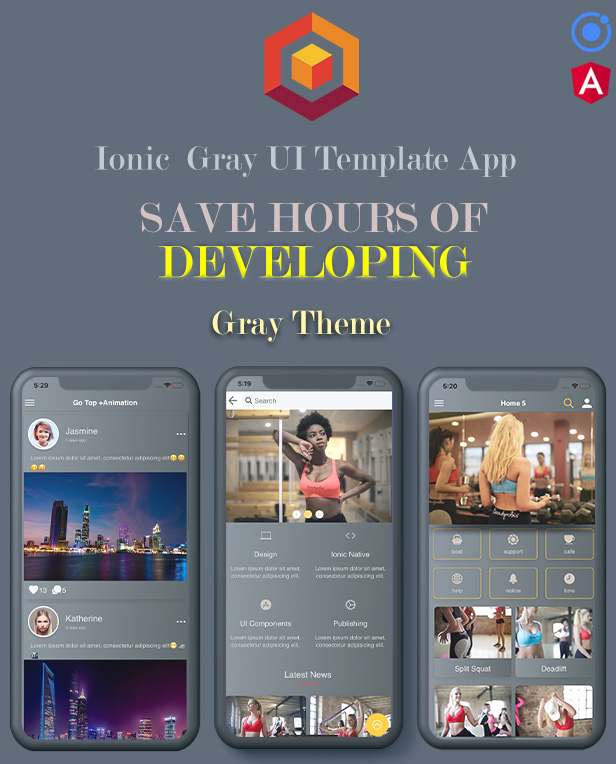 Ionic 5 / Angular 8 Gray UI Theme / Template App | Starter App