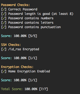 Security Check Example