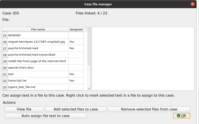 Case File Manager