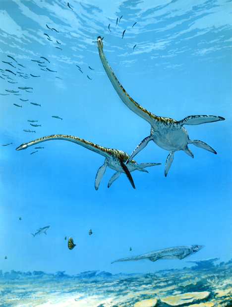 Plesiosaurid