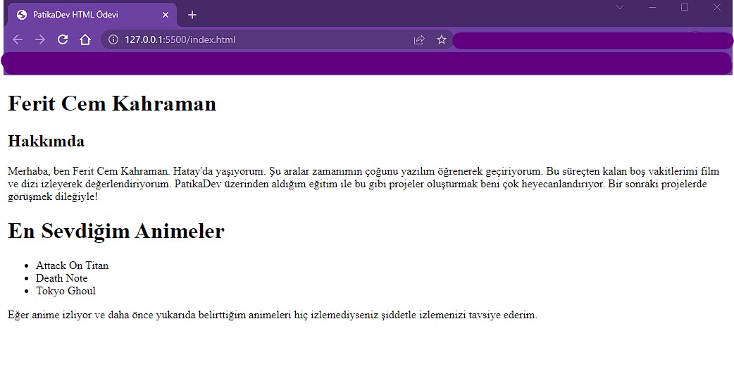 PatikaDev HTML Ödevi