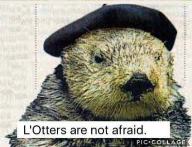 L'Otters are not afraid