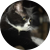 OvCO4