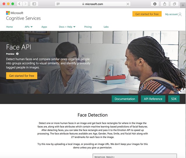 Face API document site