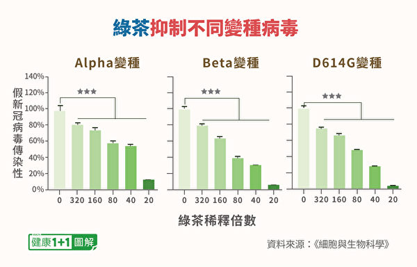 绿茶浓度越高，对新冠病毒、各个变种病毒的抑制能力就越强。 （健康1+1／大纪元）