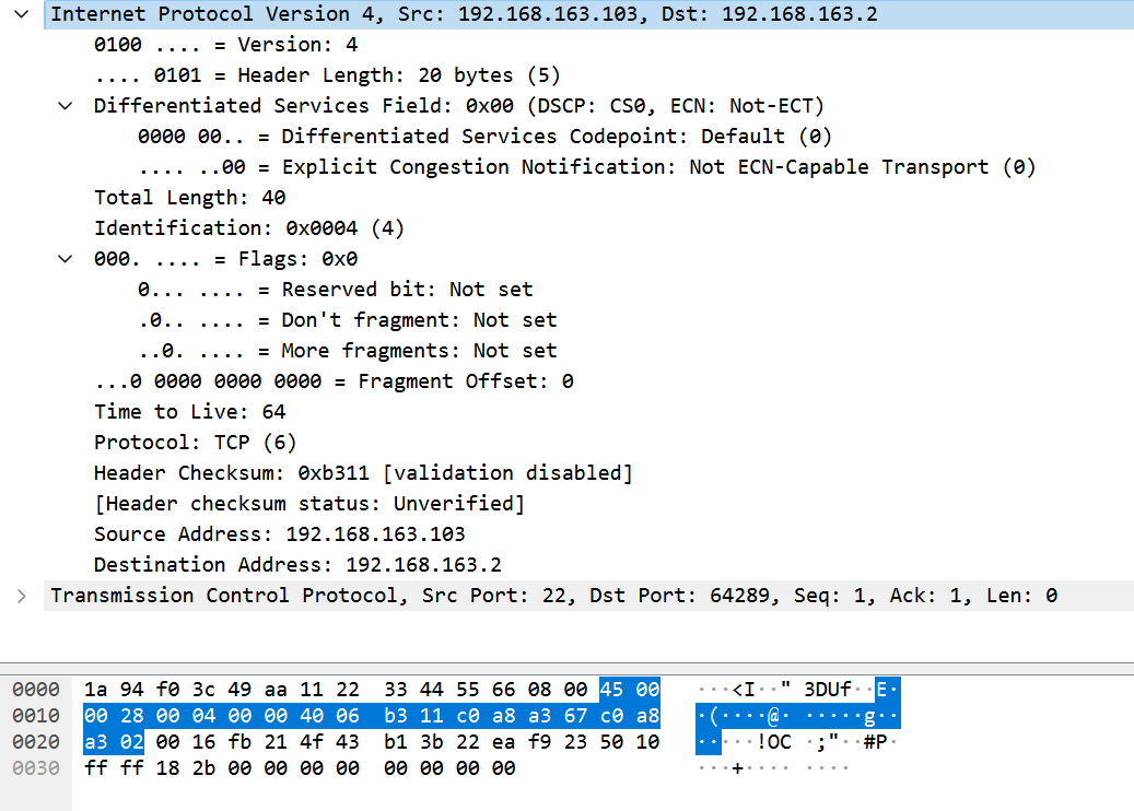 net_lab_ip_test_out_pcap