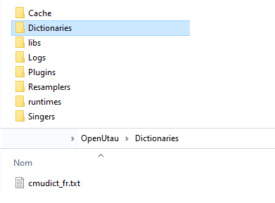 dictionary goes in the dictionaries folder at the root