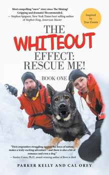 the-whiteout-effect-rescue-me-3311104-1