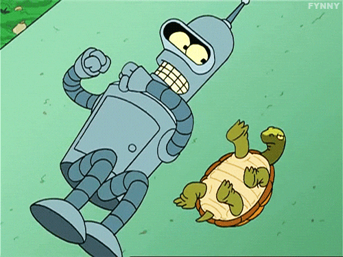 Bender and turtle