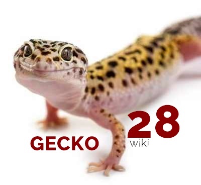 gecko-28-logo