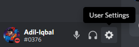 discord user settings