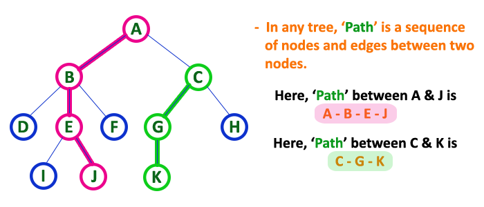 tree data structure