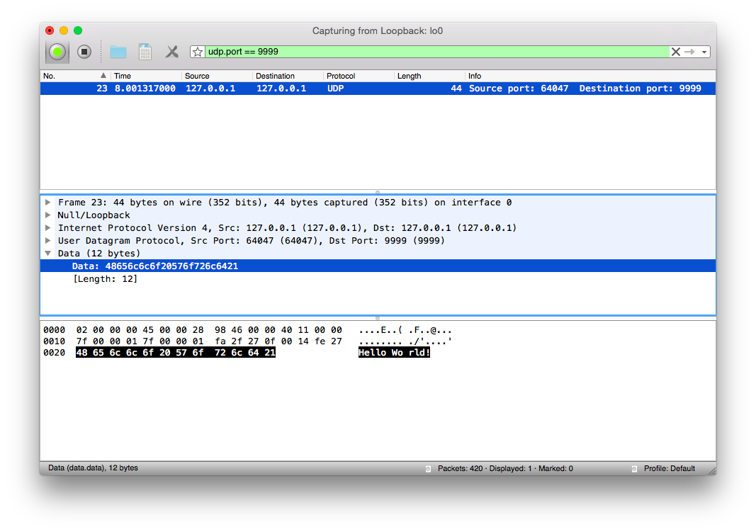 wireshark simple capture