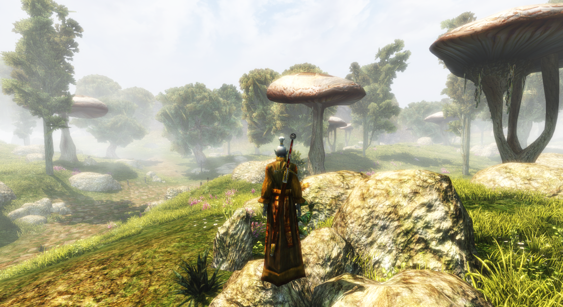 The grasslands outside Vivec on a misty afternoon