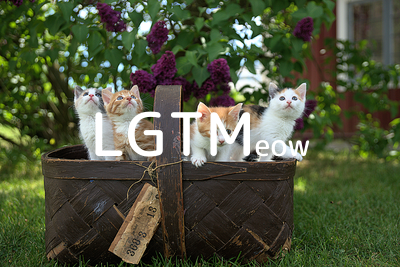 LGTMeow