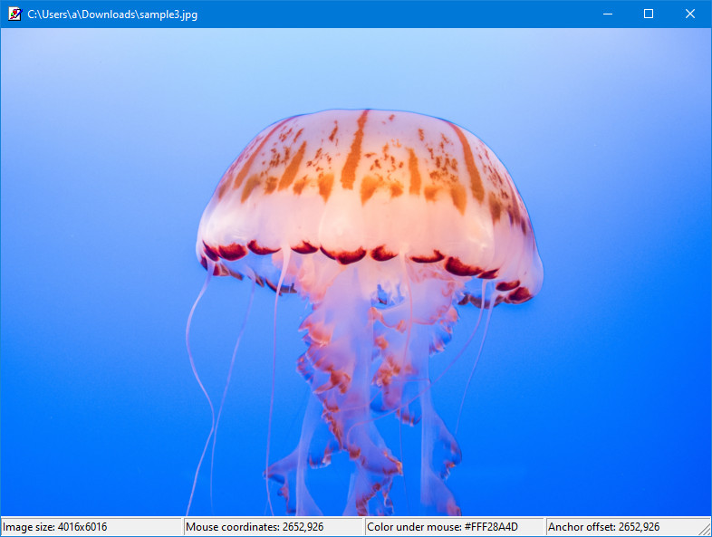 Screenshot of the program, showing a window containing an image and the status bar showing the size of the image and the coordinates of the pixel beneath the mouse cursor and its hex color code.