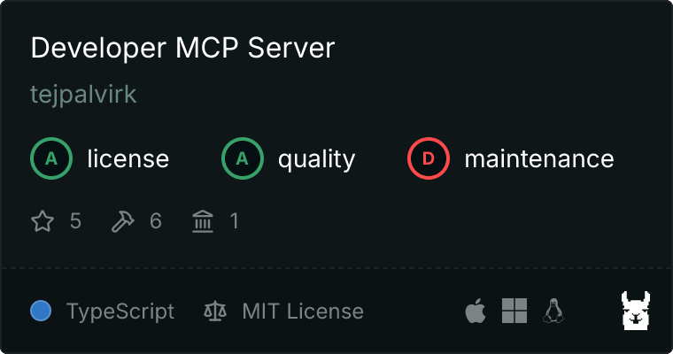 Developer Server MCP server