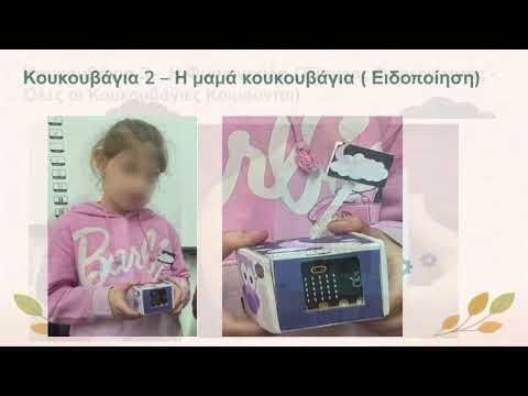 Παρουσίαση του Project