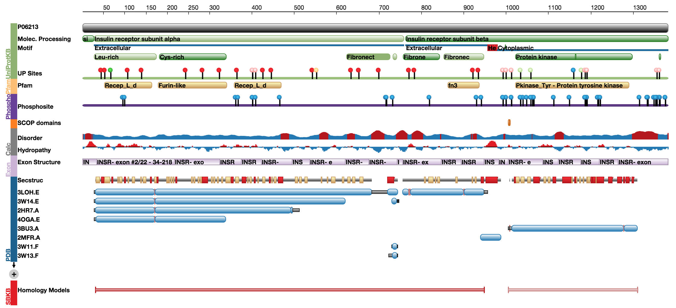 Screenshot of Protein Feature View at RCSB