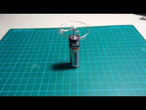 HomopolarMotor