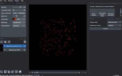 screenshot-of-napari-bleach-correct