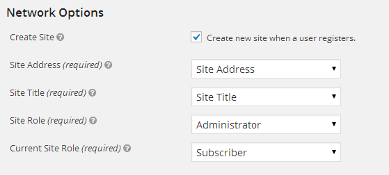 Setup Network Options