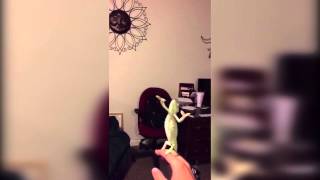 LAURA LIKES TO POP BUBBLES OH MY GOD