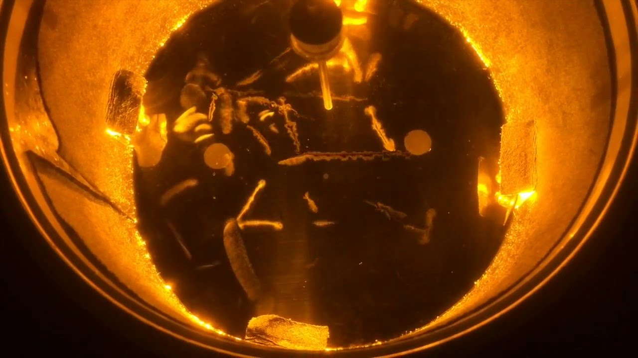 Another view of radon alpha decay in a diffusion cloud chamber