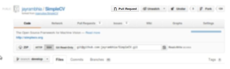 Pull Request