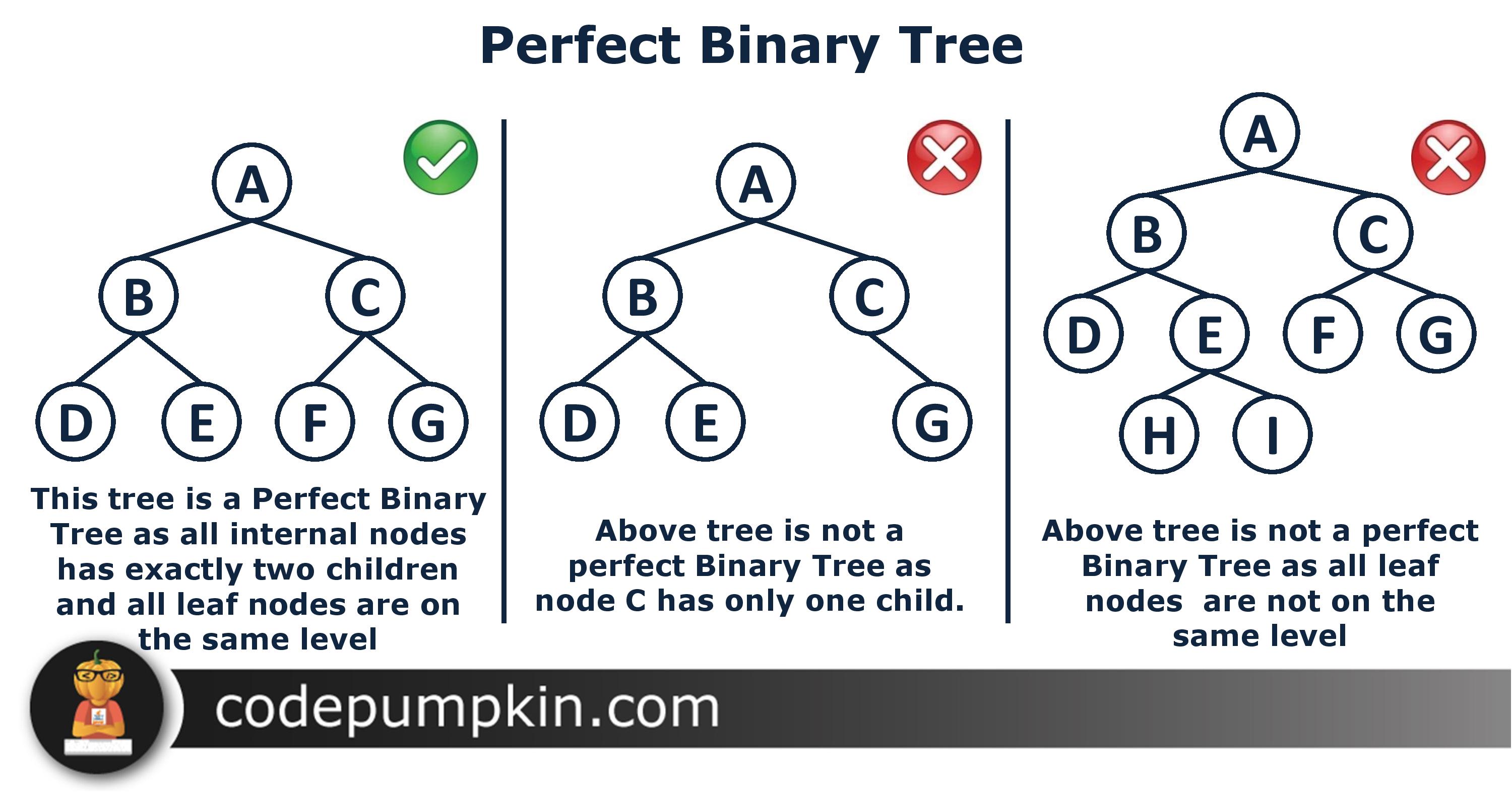 Perfect Binary Tree data structure