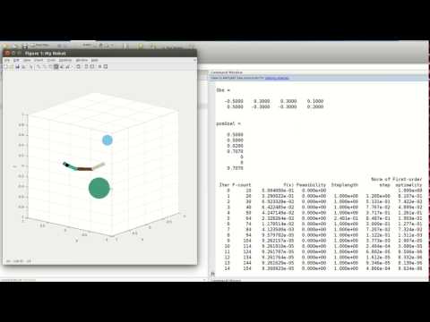 3D Inverse Kinematics Using Matlab Optimization 