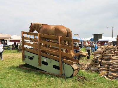 http://www.shalominthewilderness.com/2013/07/horse-progress-days.html