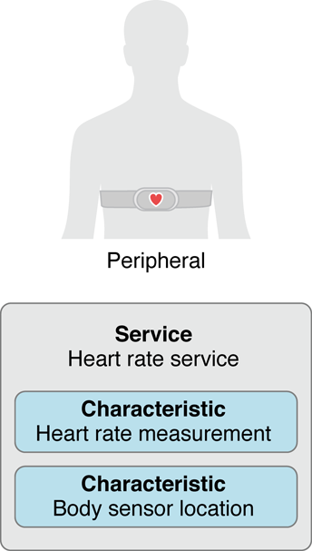 Figure 1-3 A peripheral’s service and characteristics