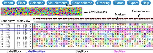 MSA Structure