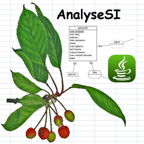 logo analyseSi