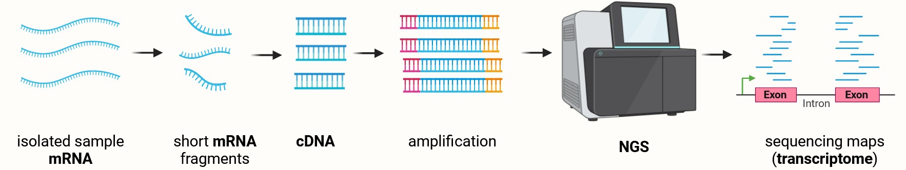 RNA-Seq Analysis