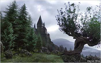 whompingwillow