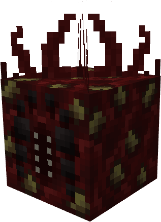 A cube of flesh