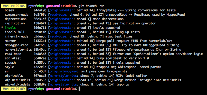 git branch -vv