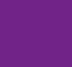 mystery purple_2