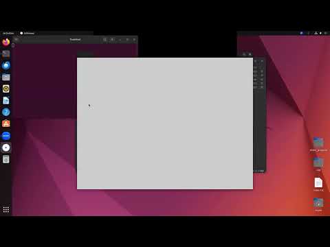 Video Demonstration