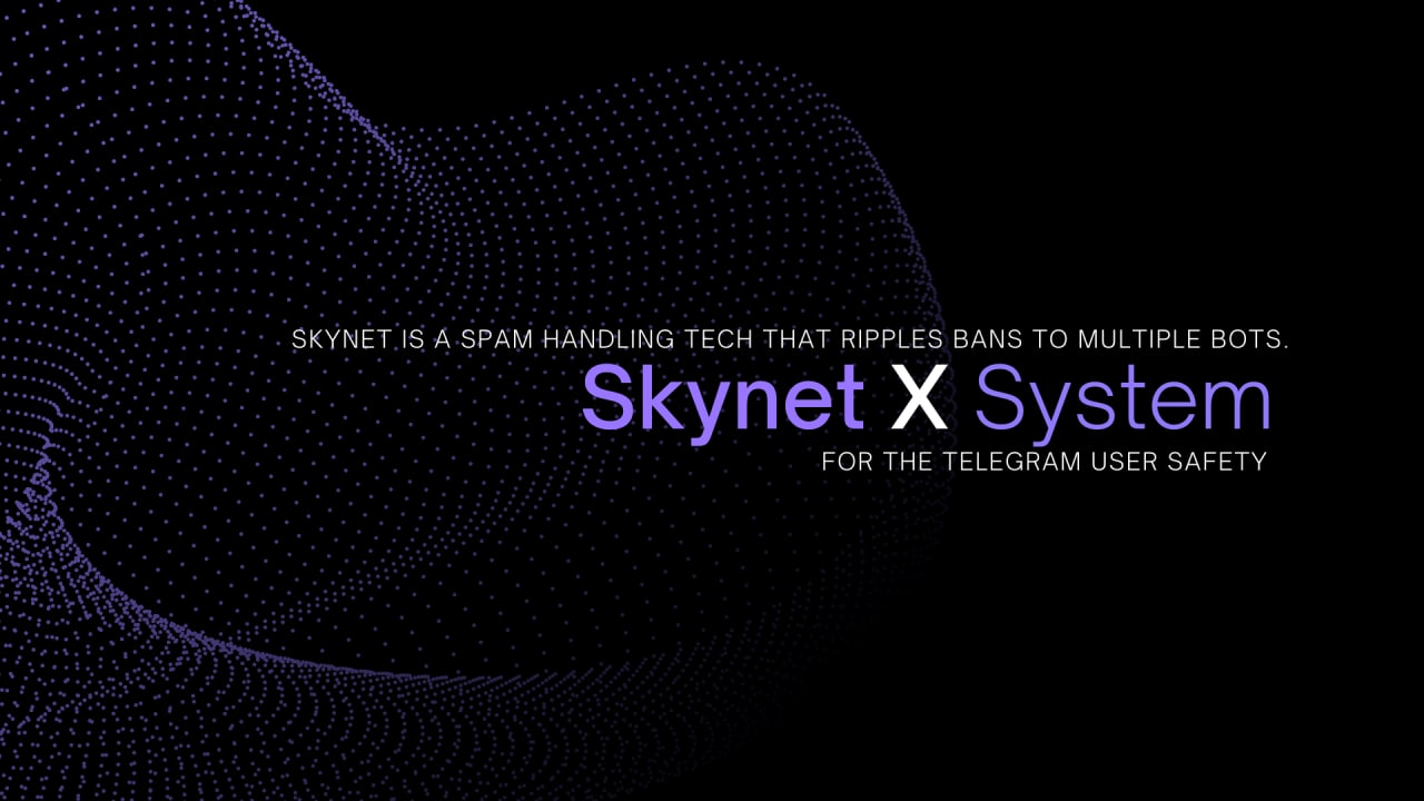 Skynet X System