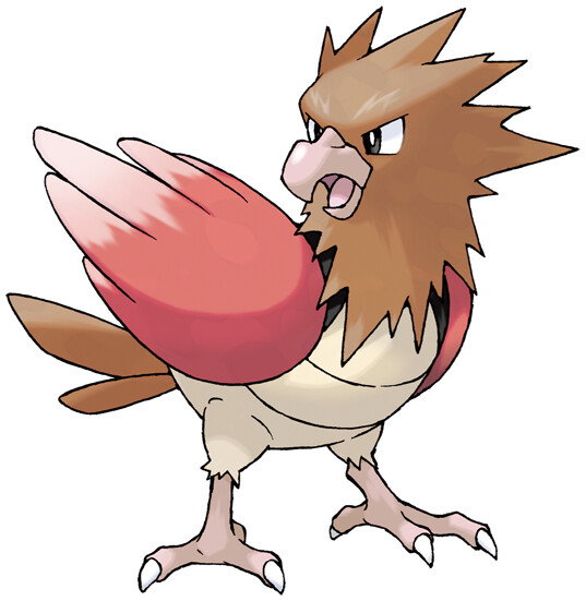 Spearow