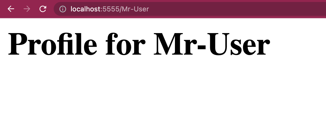 Webpage that says "Profile for Mr-User"