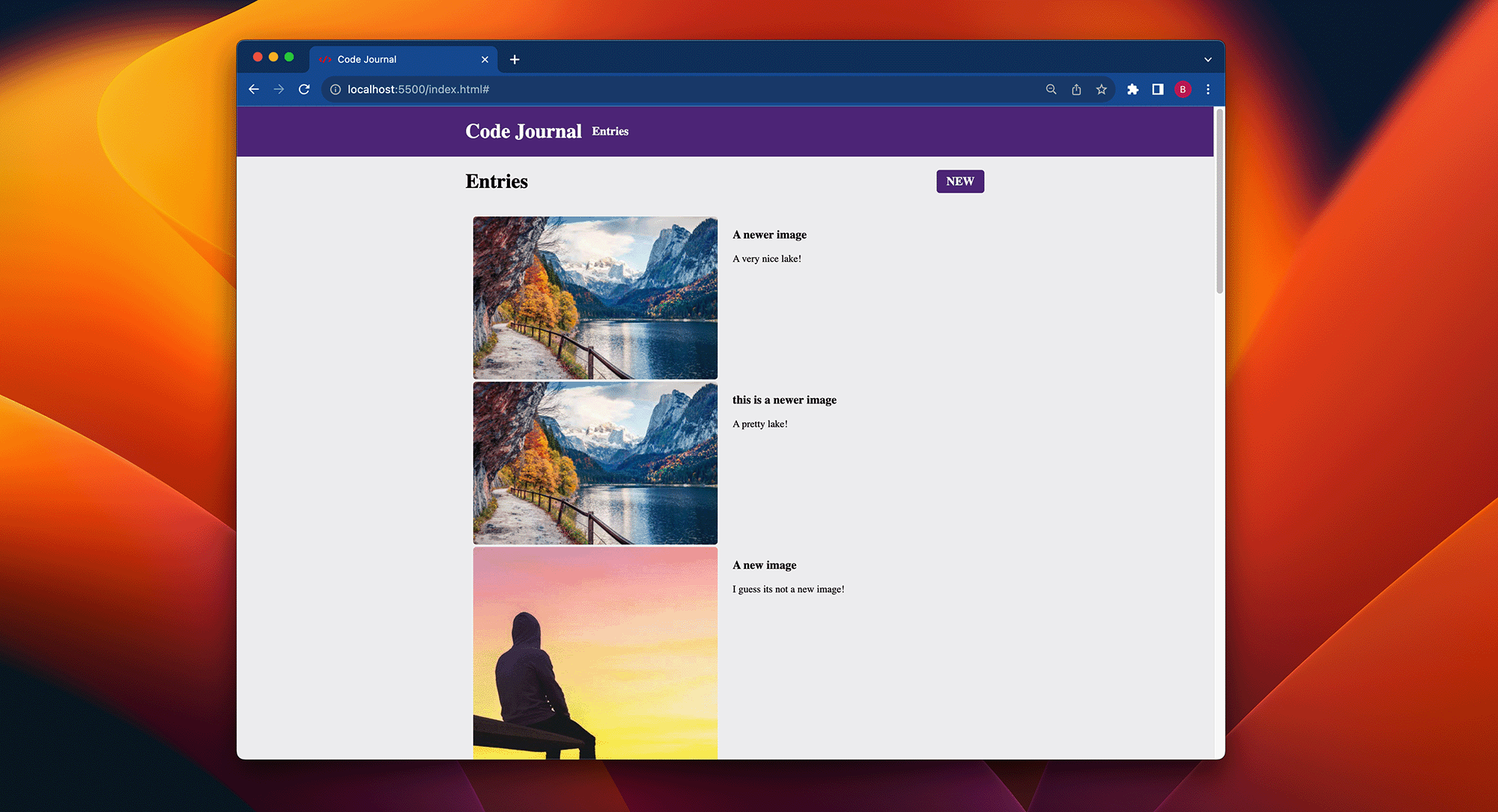 user can view their entries desktop