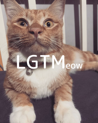 LGTMeow