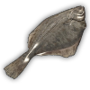 flounder