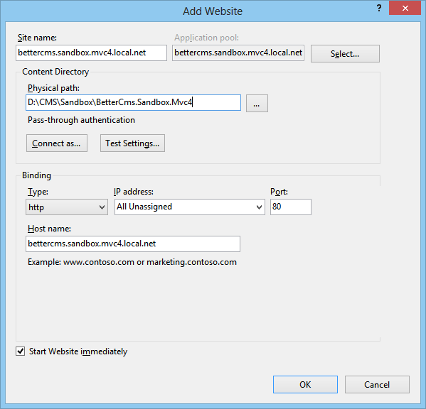 IIS website settings