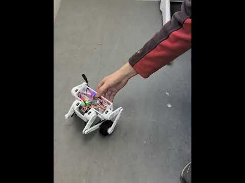 The outlook of the Stack-force wheel-legged bot