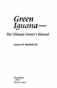 green-iguana-3272338-1
